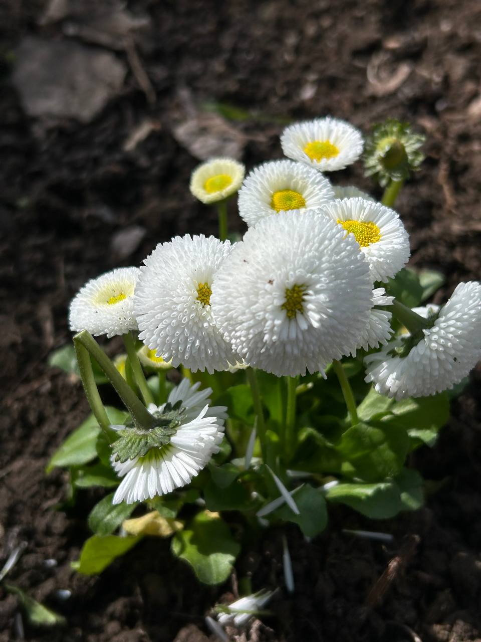 Сьогодні в дружній та натхненній атмосфері відбулася екотолока за участі колег та студентів.