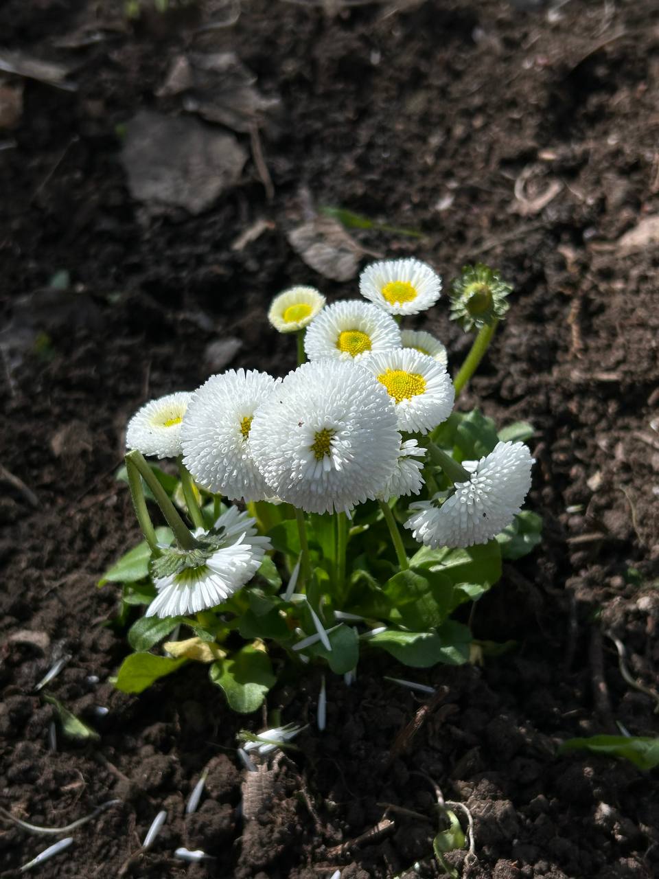Сьогодні в дружній та натхненній атмосфері відбулася екотолока за участі колег та студентів.