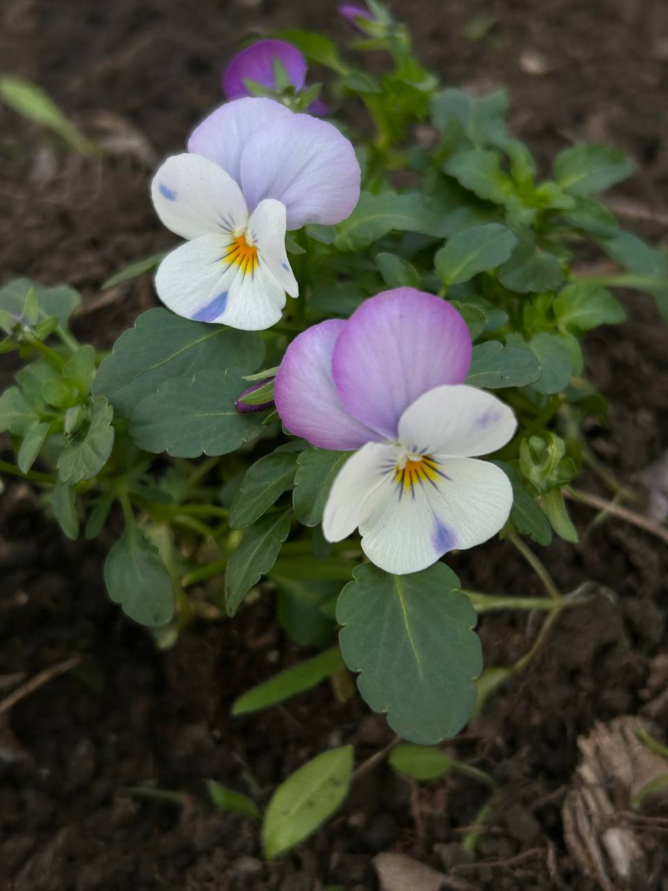 Сьогодні в дружній та натхненній атмосфері відбулася екотолока за участі колег та студентів.