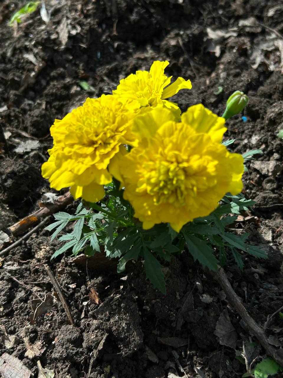 Сьогодні в дружній та натхненній атмосфері відбулася екотолока за участі колег та студентів.